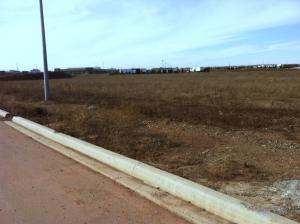 Empty field beside paved road with curb.